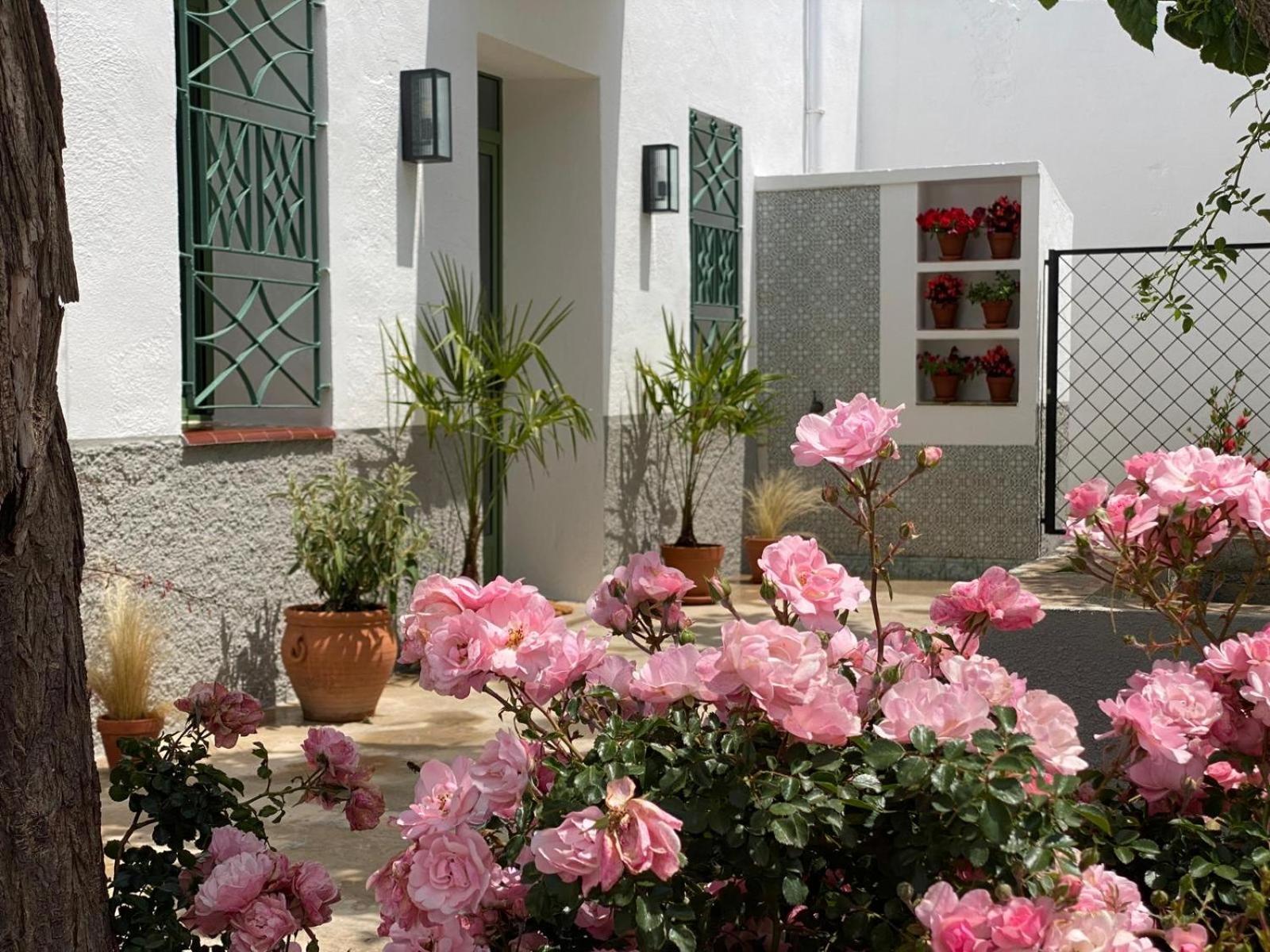 Hotel Les Filles Deltebre Zewnętrze zdjęcie