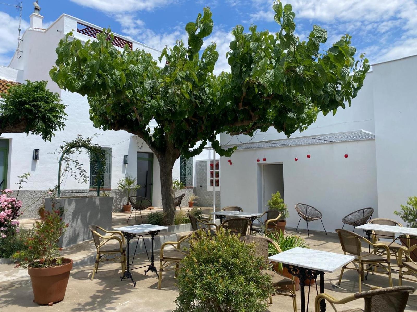 Hotel Les Filles Deltebre Zewnętrze zdjęcie